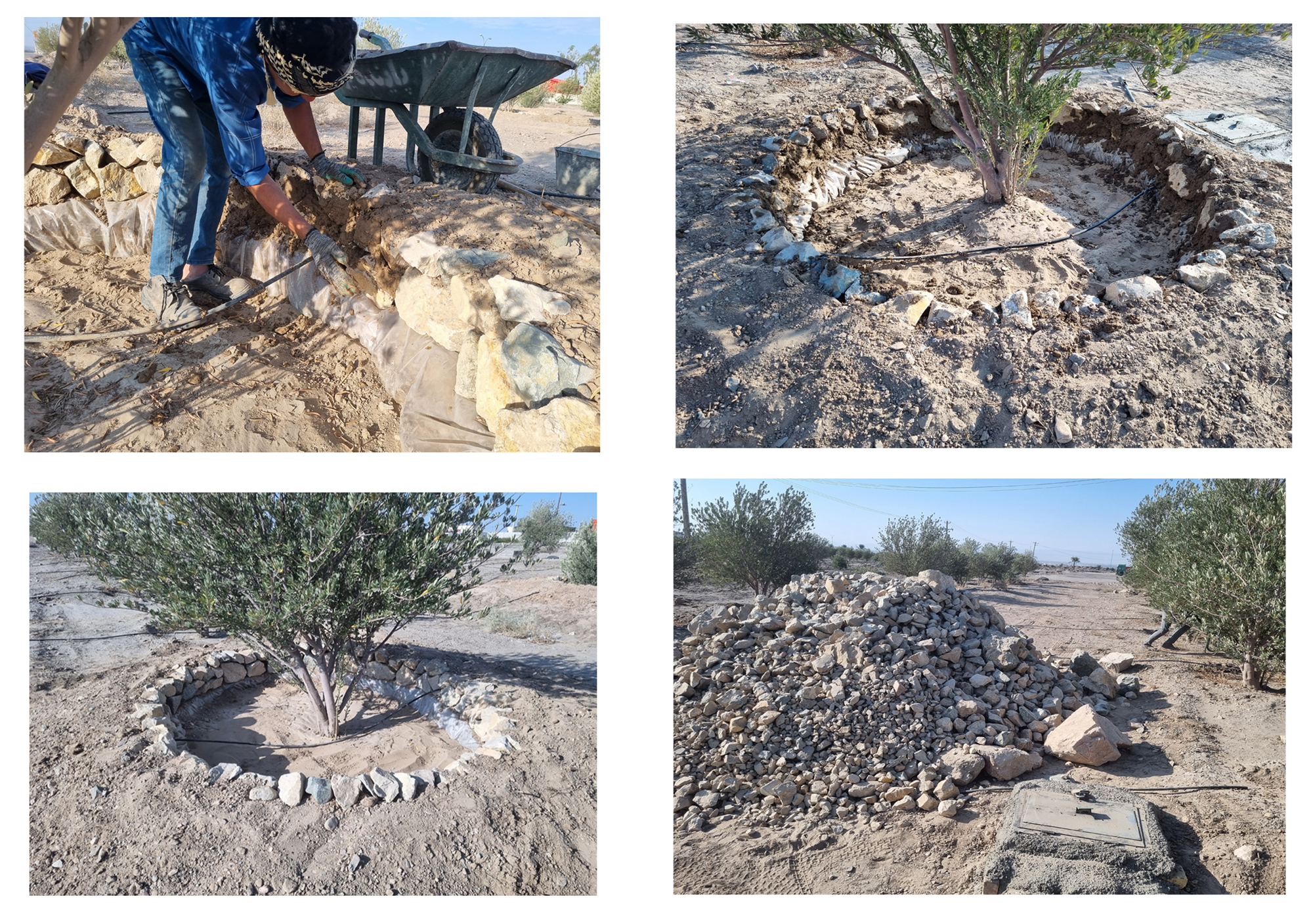 عکس های طرح