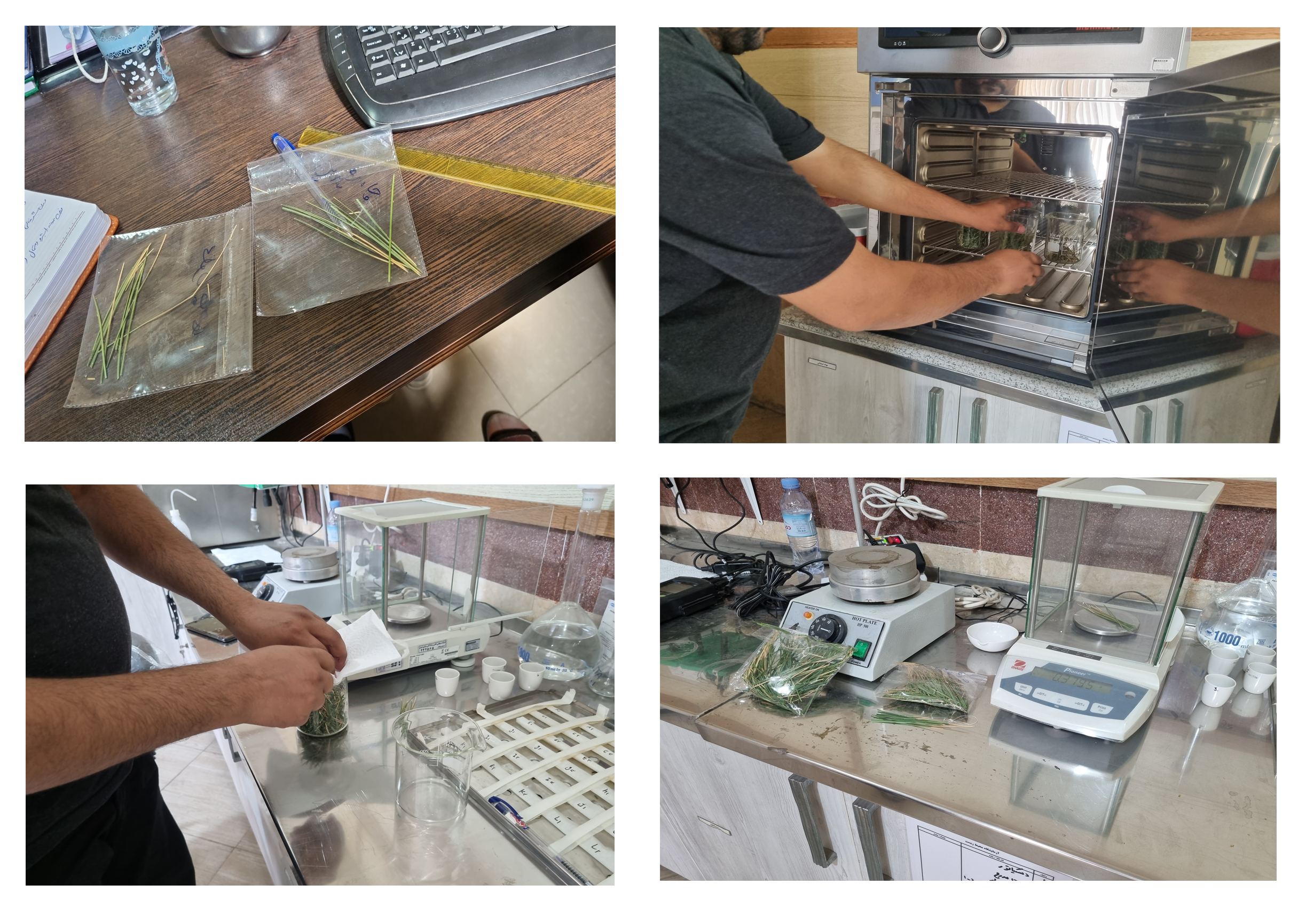 عکس های طرح