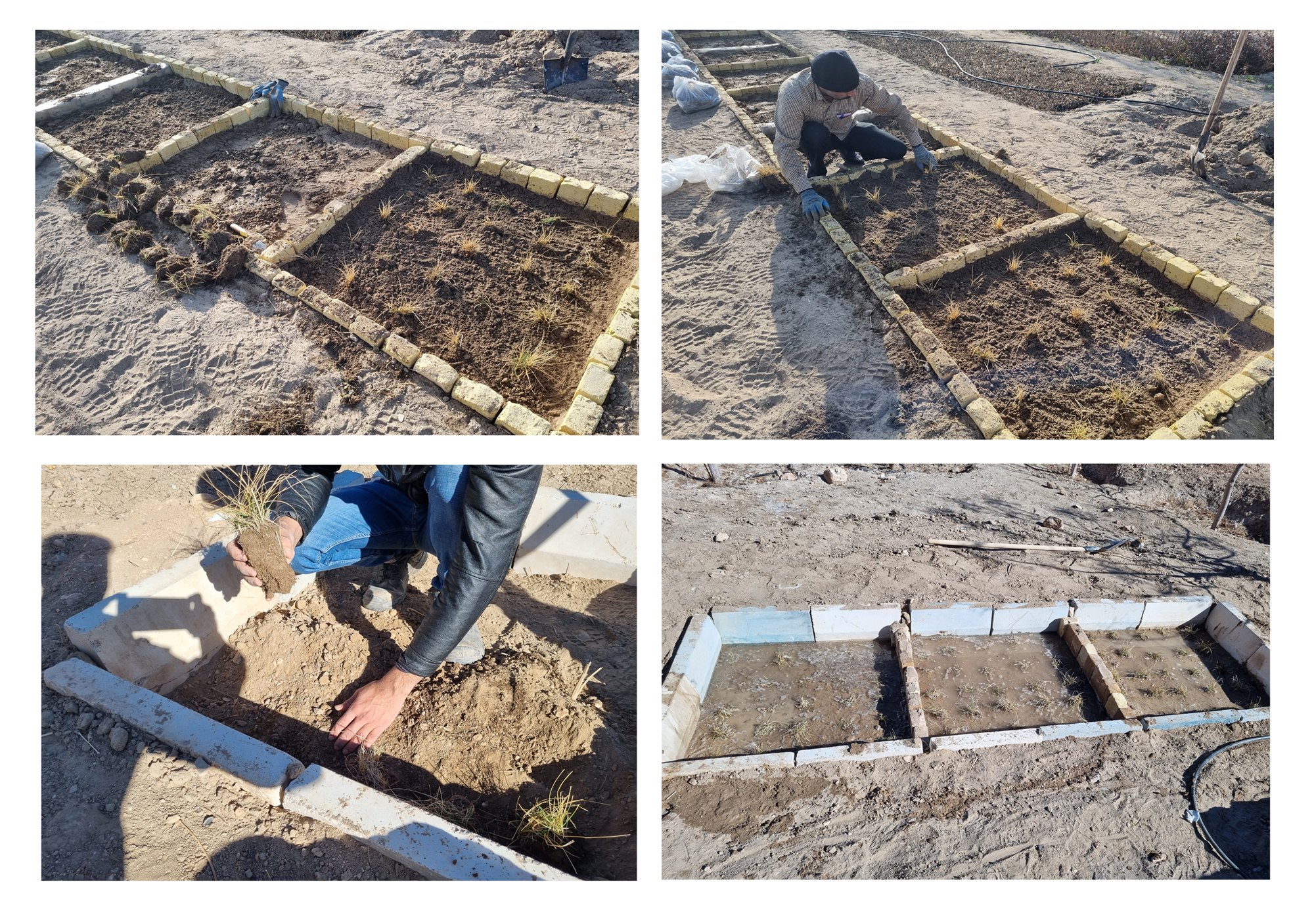 عکس های طرح