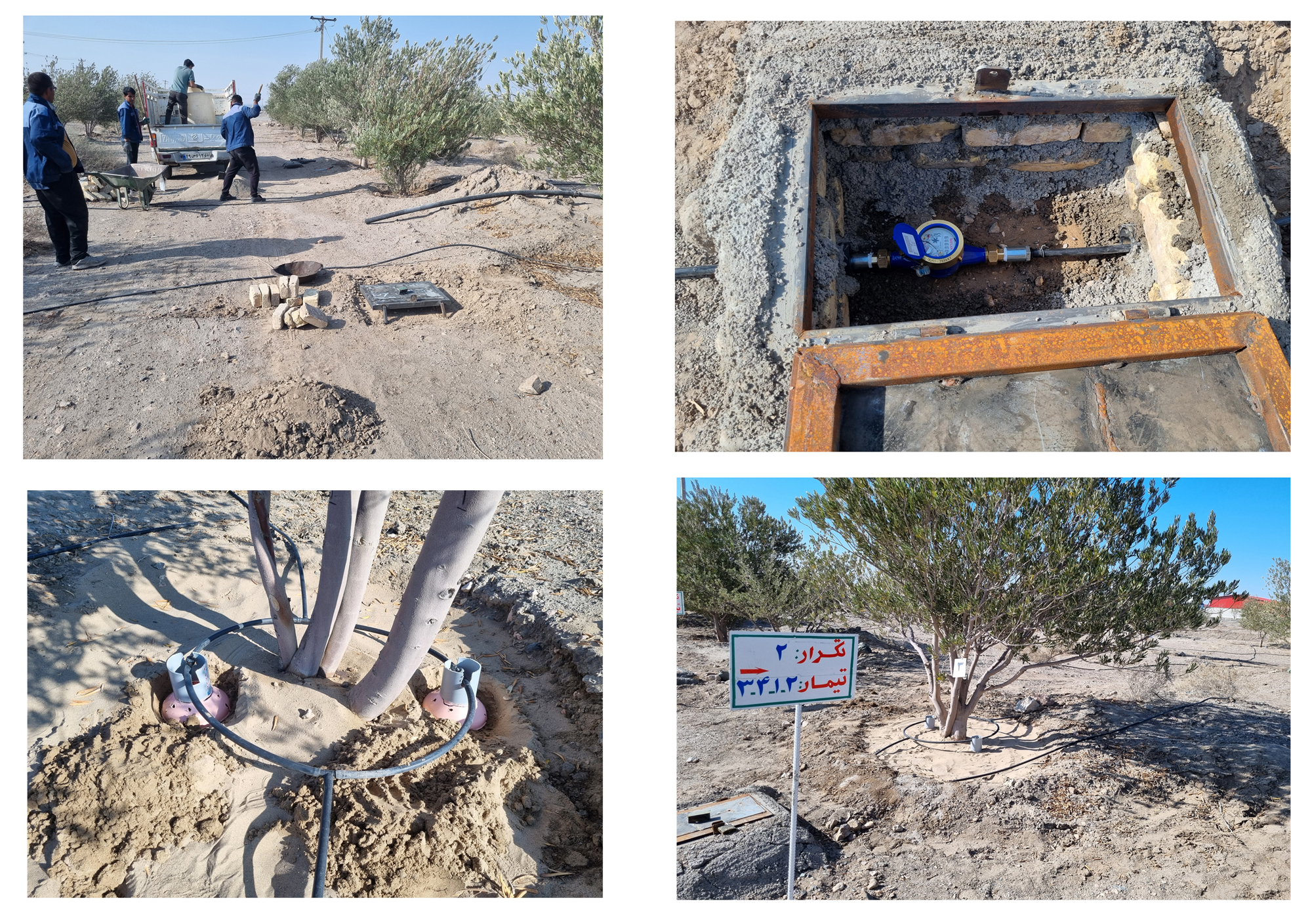 عکس های طرح