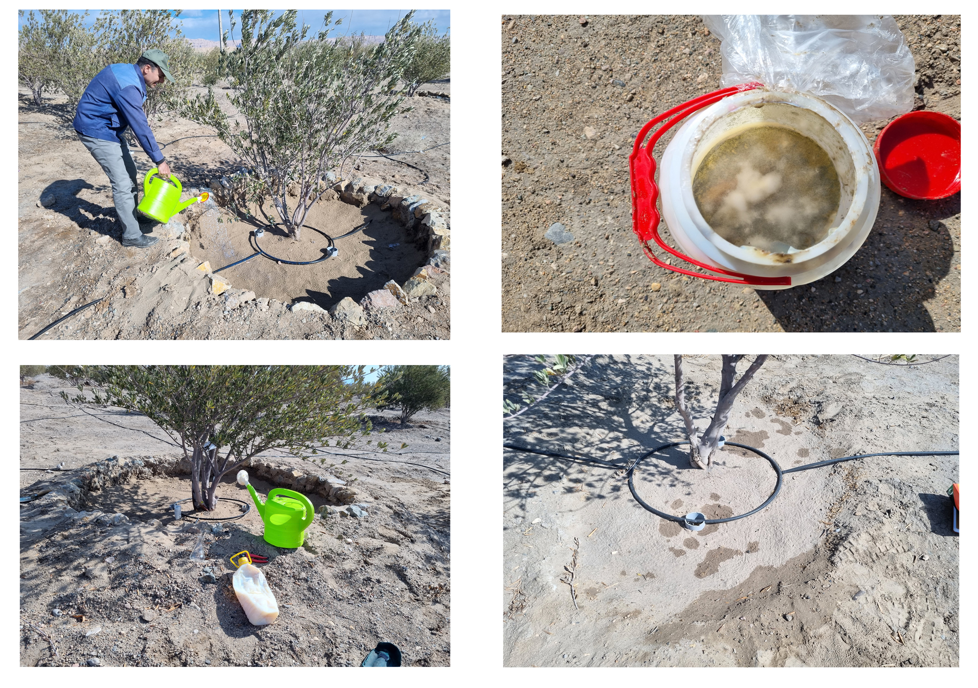 عکس های طرح