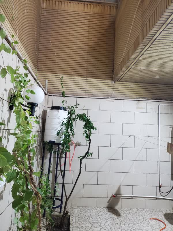 عکس های طرح