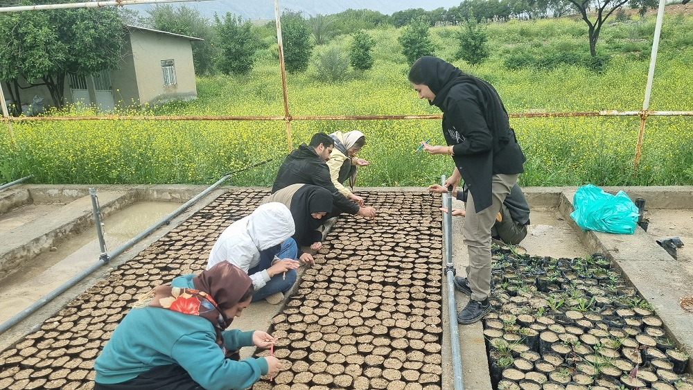 عکس های طرح