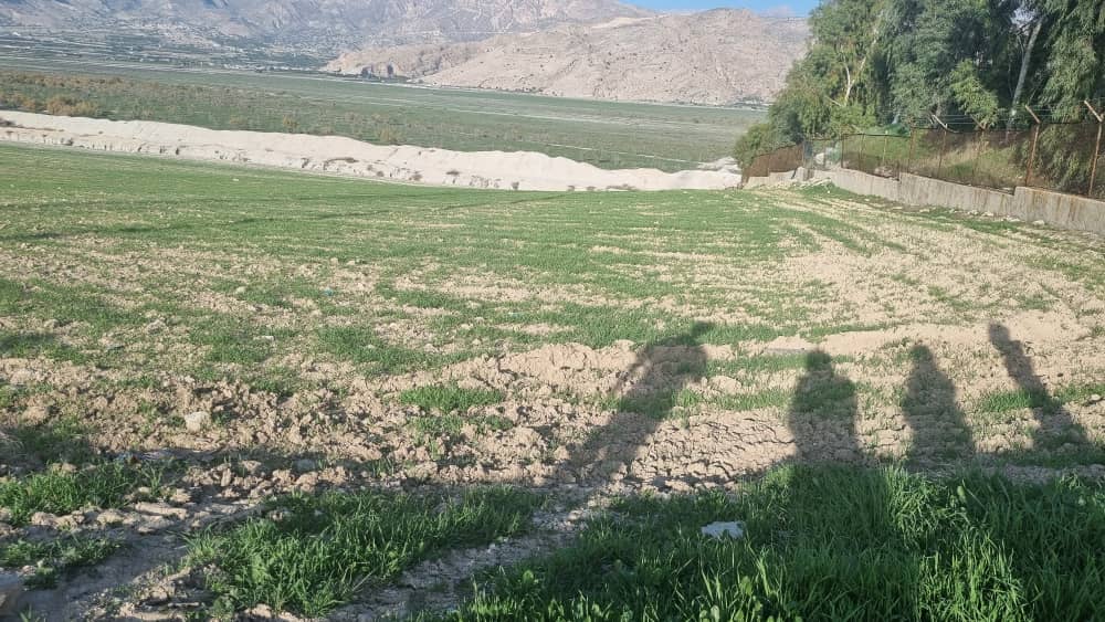 عکس های طرح