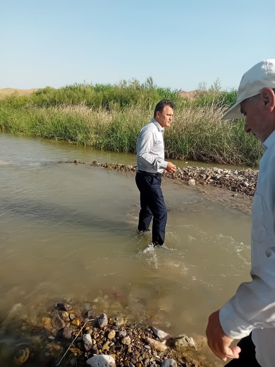 عکس های طرح