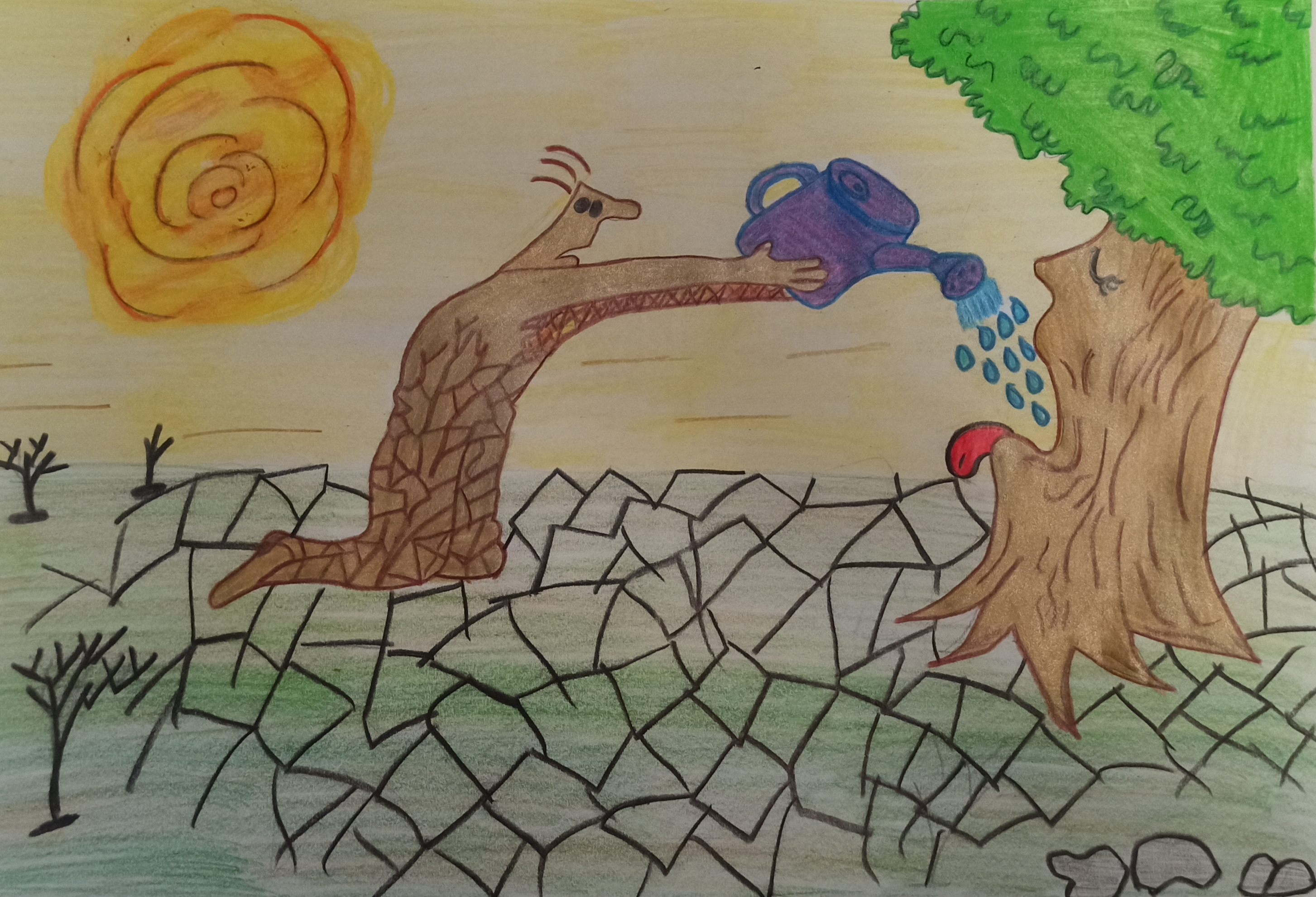 عکس های طرح