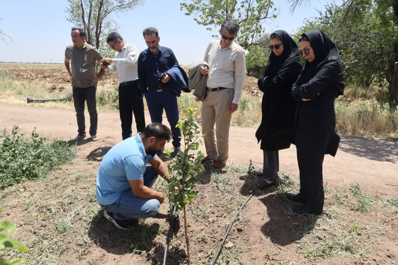 عکس های طرح