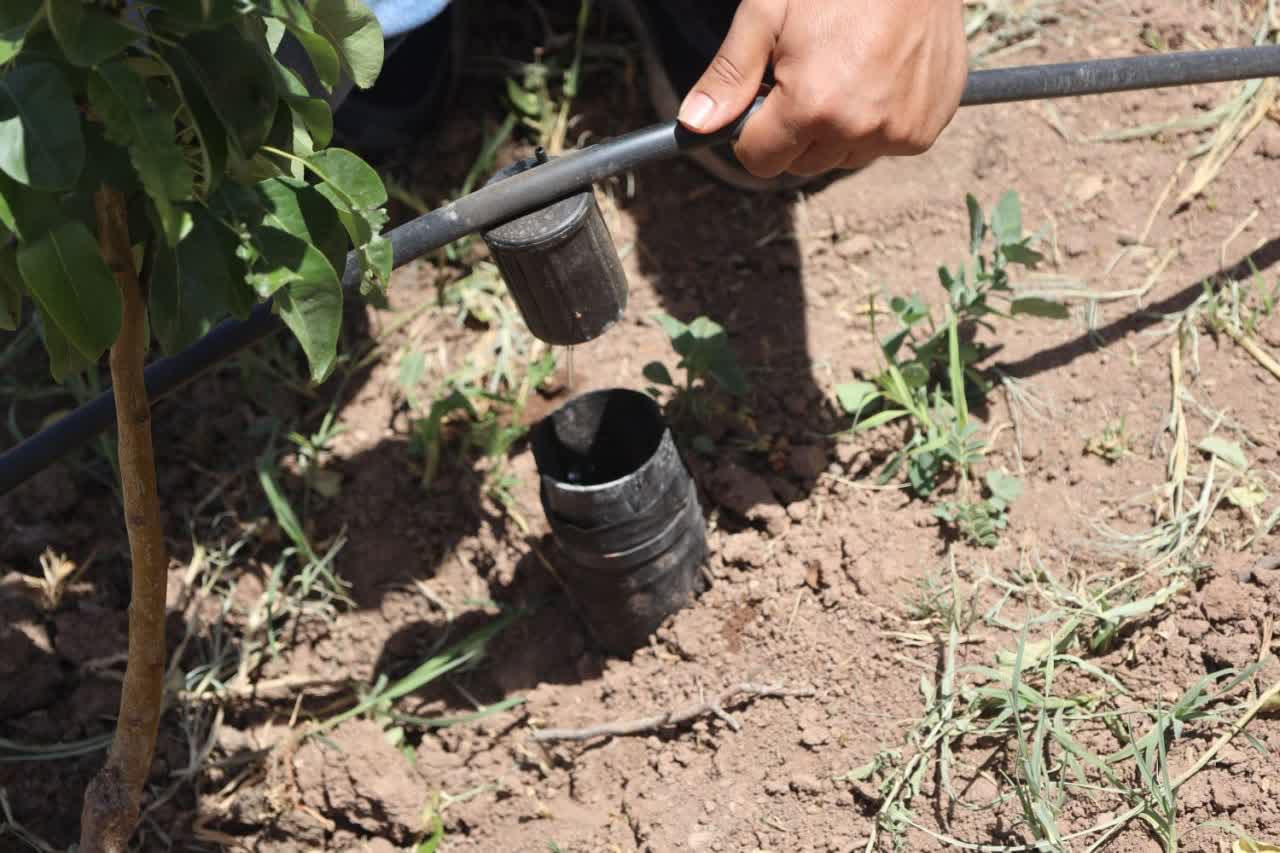 عکس های طرح