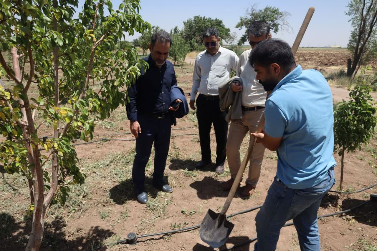 عکس های طرح