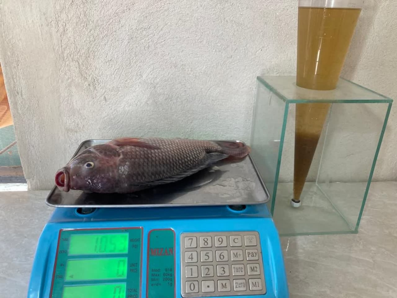 عکس های طرح