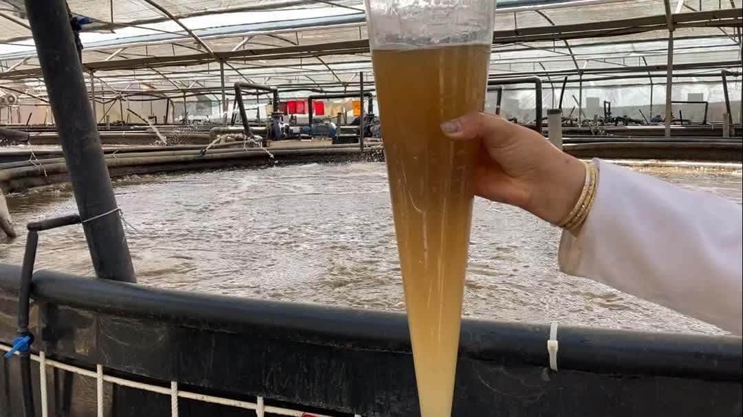 عکس های طرح